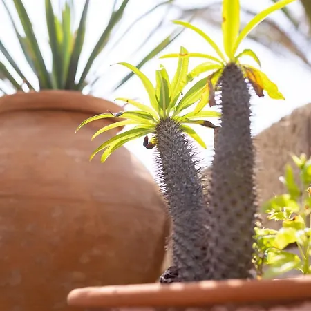 Casa Limon - Ocean View Poris de Abona