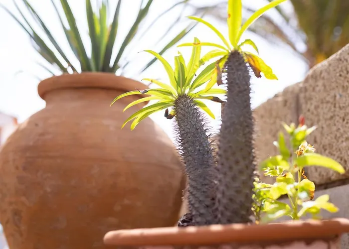 Casa Limon - Ocean View Poris de Abona