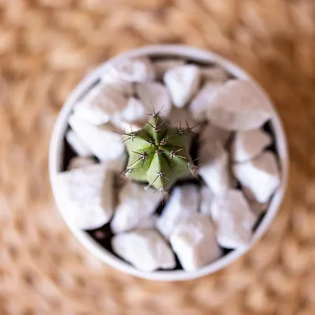 Villa Casa Limon - Ocean View *