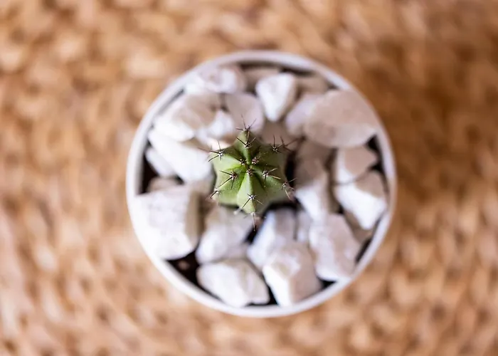 빌라 Casa Limon - Ocean View *