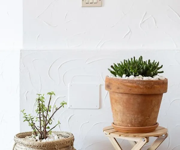 Casa Limon - Ocean View Villa